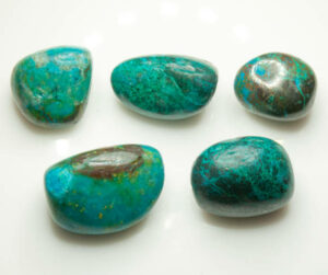Chrysocolle