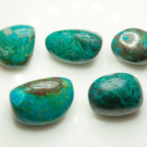 Chrysocolle