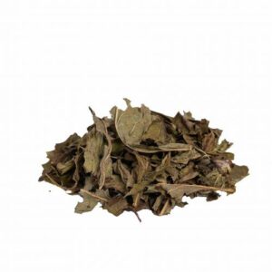 Menthe poivrée