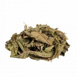 Verveine